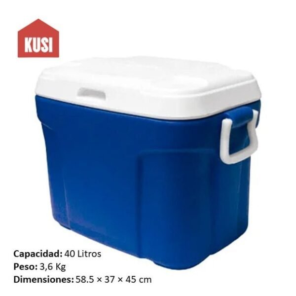 Caja de Aislamiento para Alimentos, Nevera Congelador Portatil de ABS Color Azul