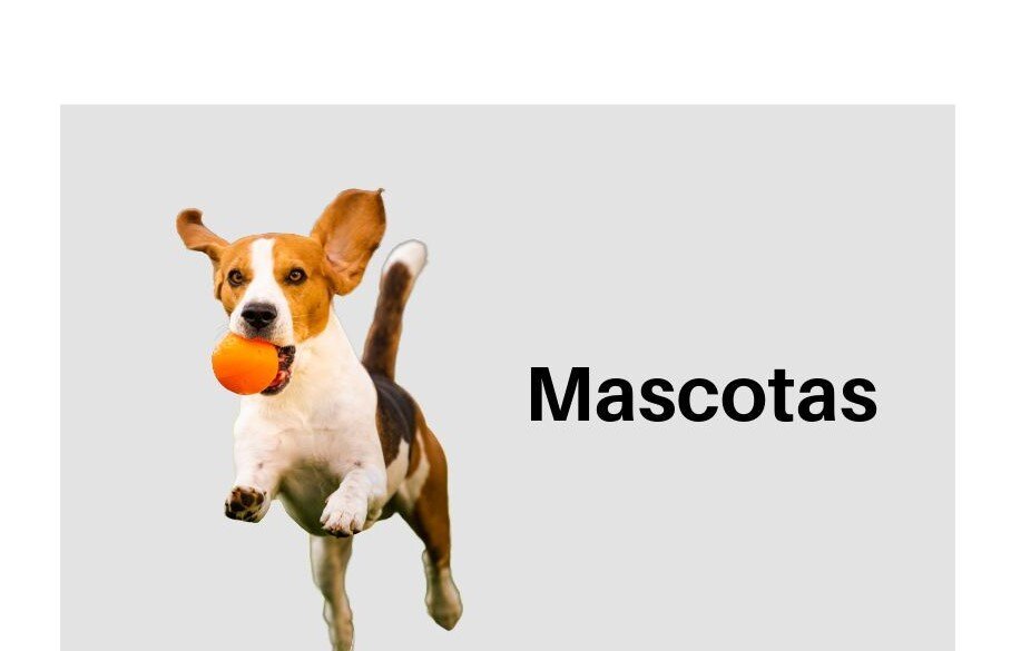 Mascotas